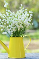 Thập niên 70: Cùng hệ thống điểm danh hằng ngày